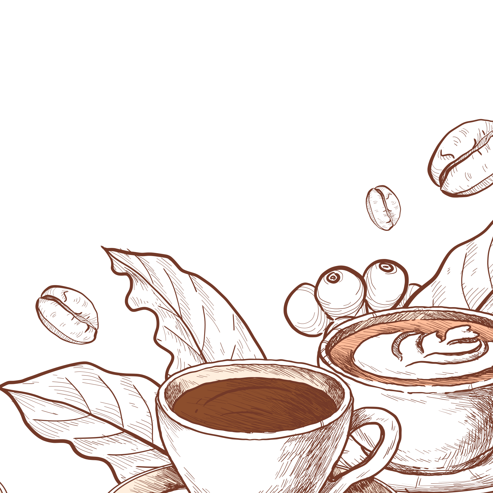 Ilustração cafés