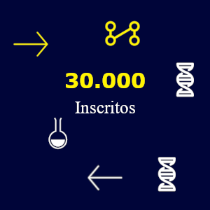 Demonstração de dados da organização